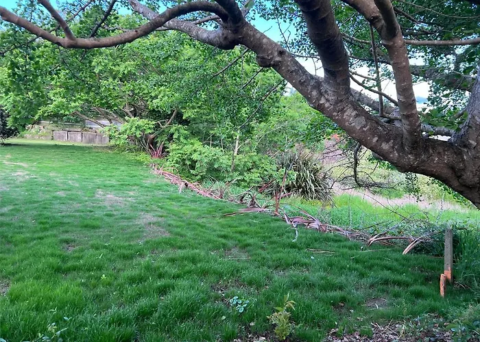 Under Walnut Tree * 로토루아